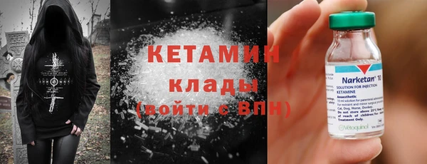 прущие грибы Каменск-Шахтинский