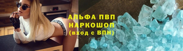 прущие грибы Каменск-Шахтинский