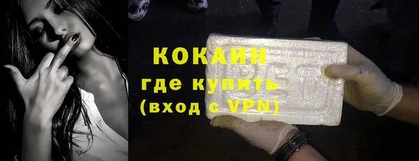 прущие грибы Каменск-Шахтинский