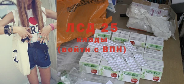прущие грибы Каменск-Шахтинский