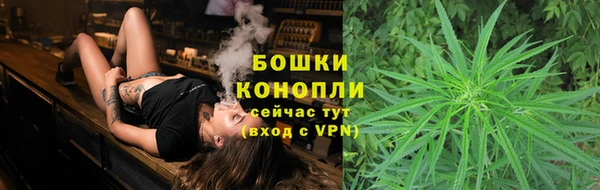 прущие грибы Каменск-Шахтинский