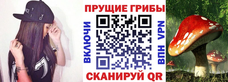 Купить  Таруса  Псилоцибиновые грибы мухоморы 